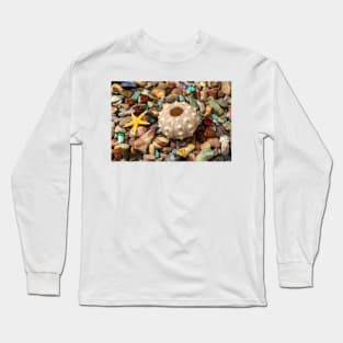 Sea Urchin On Colored Stones Long Sleeve T-Shirt